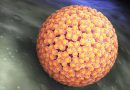 Identificada variante do HPV com maior potencial de causar câncer